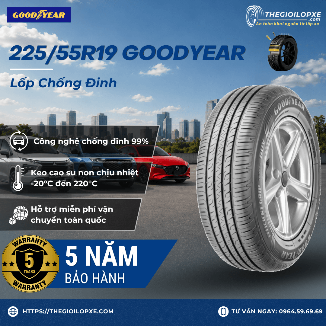 Lốp Xe Chống Đinh 225/55R19 Goodyear - Lốp EV - VF8 Eco