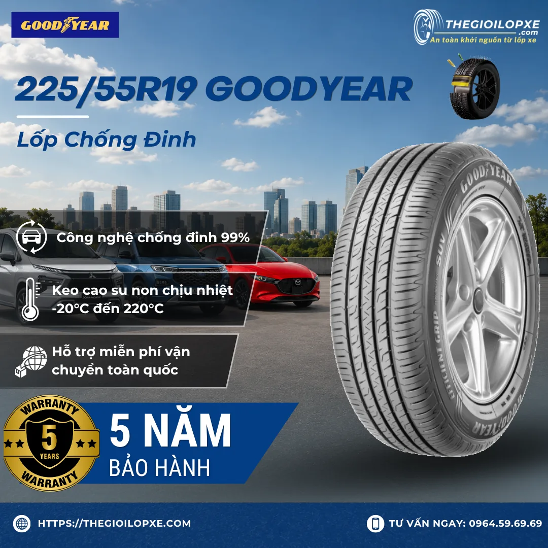 Lốp Xe Chống Đinh 225/55R19 Goodyear - Lốp EV - VF8 Eco